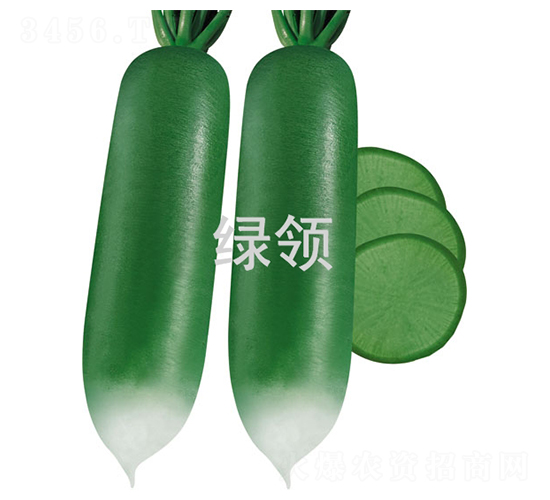 ������-�}���N��-�G�I(l��ng)�N�I(y��)