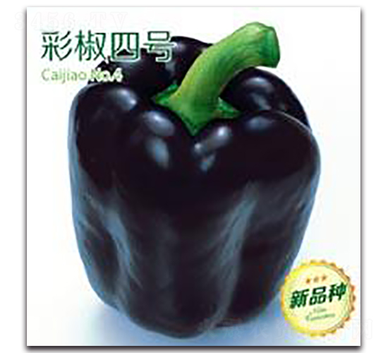 �ʽ���̖(h��o)-�ʽ��N��-�����Z