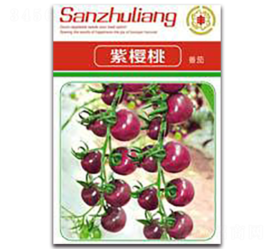 �ϙ���-���ѷN��-�����Z