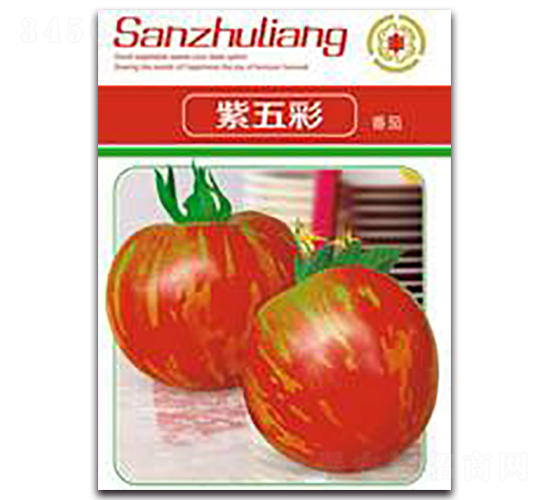 �����-���ѷN��-�����Z