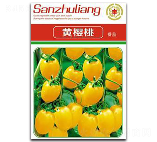 �S���ҷ���-���ѷN��-�����Z