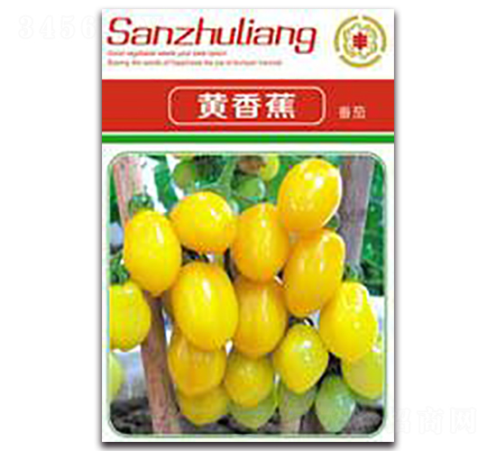 �S�㽶����-���ѷN��-�����Z