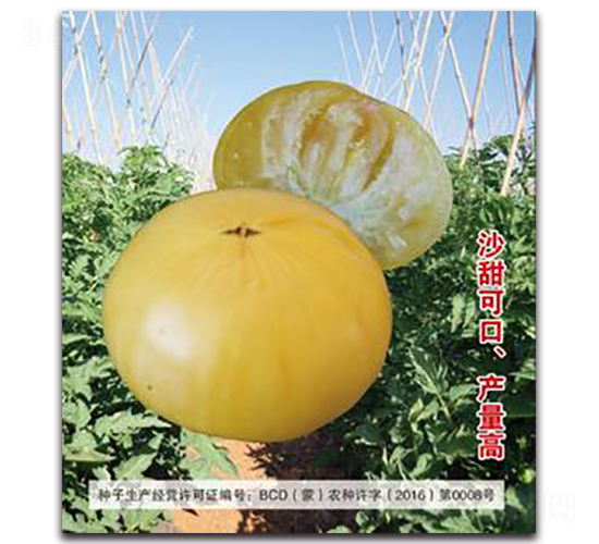 �S��-���ѷN��-�����Z