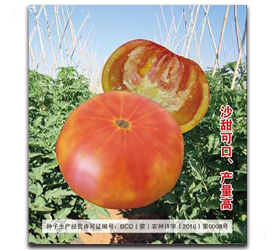 �t��-���ѷN��-�����Z