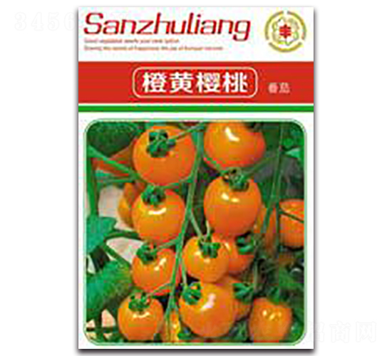 ���S���ҷ���-���ѷN��-�����Z