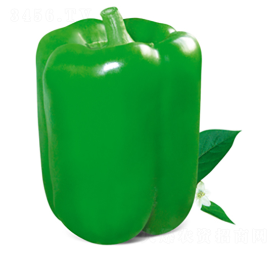 ¹��ʮ��̖(h��o)-�����N��-�����Z