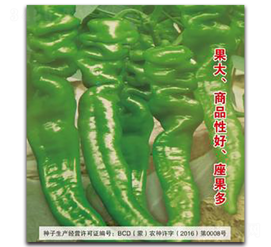 ¹��29-�����N��-�����Z