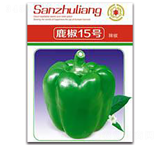 ¹��15̖(h��o)����-�����N��-�����Z