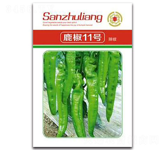 ¹��11̖(h��o)����-�����N��-�����Z