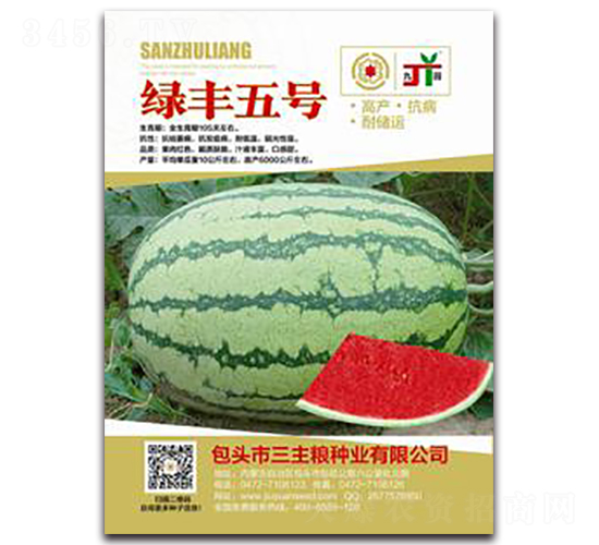 �G�S��̖-���ϷN��-�����Z