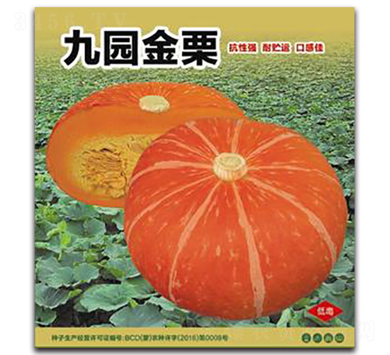 �ň@����-�ϹϷN��-�����Z