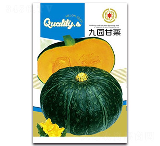 �ň@����-�ϹϷN��-�����Z