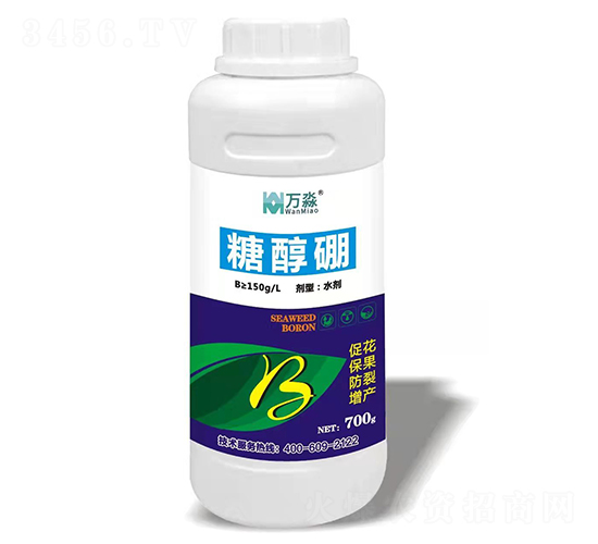 �Ǵ���-�f(w��n)��-���S����