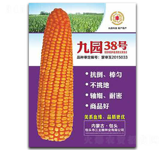 �ň@38̖(h��o)-���׷N��-�����Z