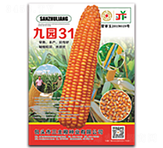 �ň@31-���׷N��-�����Z