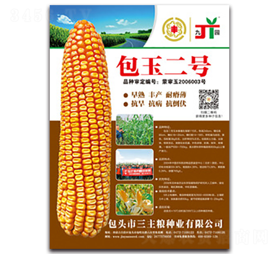 �����̖-���׷N��-�����Z