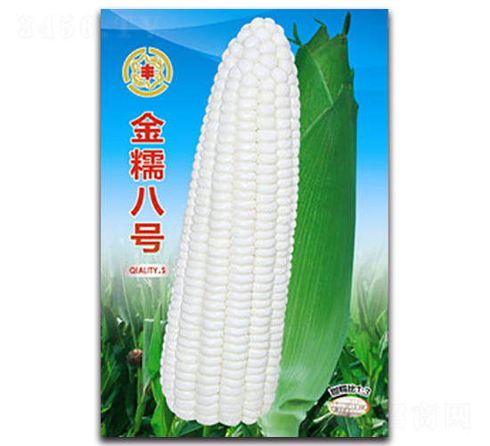 ��Ŵ��̖(h��o)-Ŵ���׷N��-�����Z