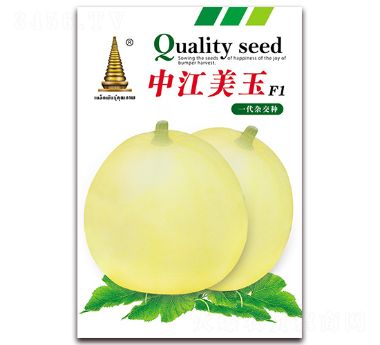 �н�����-��ϷN��-�н��r�I(y��)