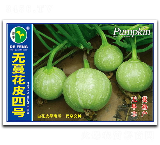 �o����Ƥ��̖-�ϹϷN��-���S�N�I(y��)