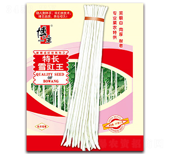 ���L(zh��ng)ѩ����-�����N��-����