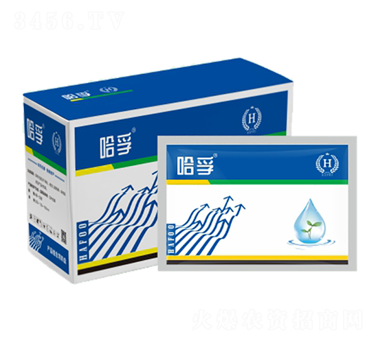 ���ڷ������a�M��-��������