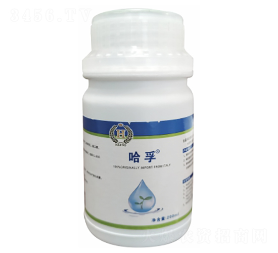 ���Z��-��������