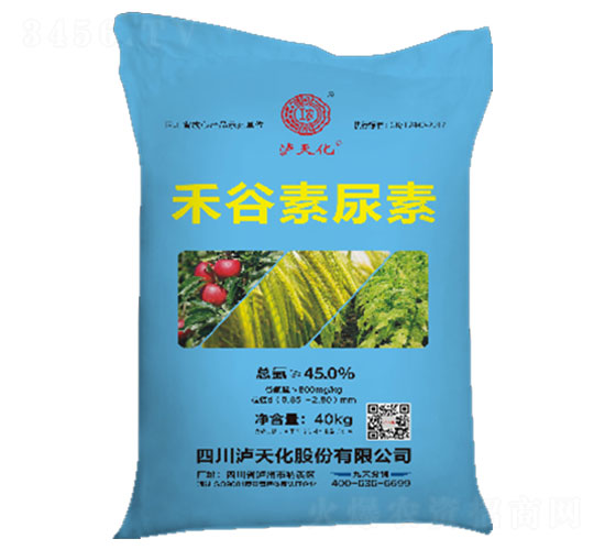 �̹�������-�o�컯