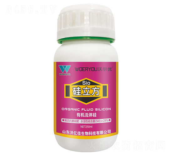 ���������ЙC���w�裩-�֠���(y��u)