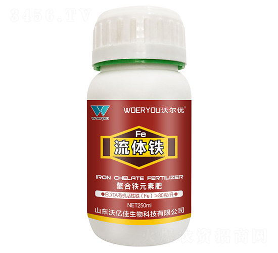 ���w�F-�֠���(y��u)