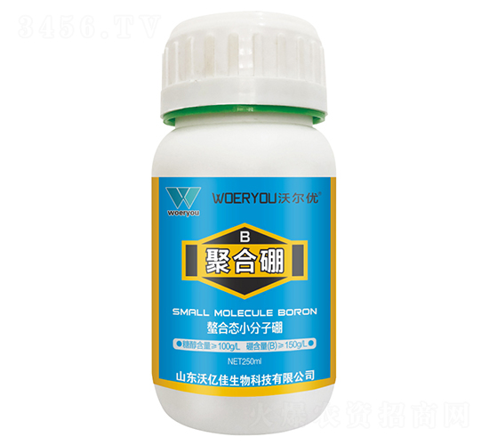 �ۺ���-�֠���(y��u)