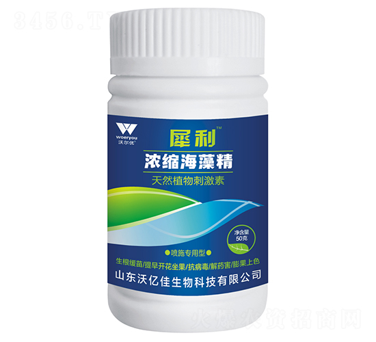 ��s���徫-Ϭ��-�֠���(y��u)