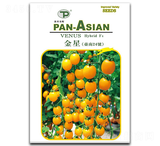 ����-���ѷN��-�x��