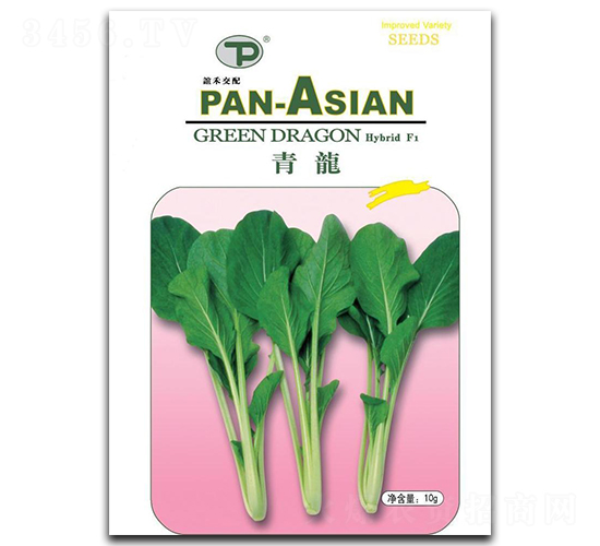 �����˷N��-�x��