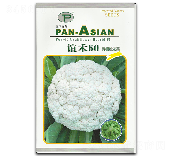 �x��60-�ɻ��˷N��-�x��