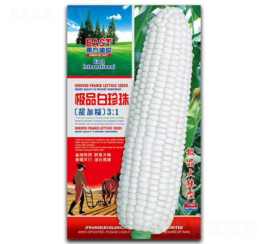 �OƷ������-Ŵ���׷N��-�����_