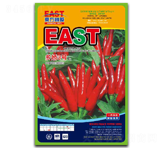 ����3̖-�����N��-�����_(d��)