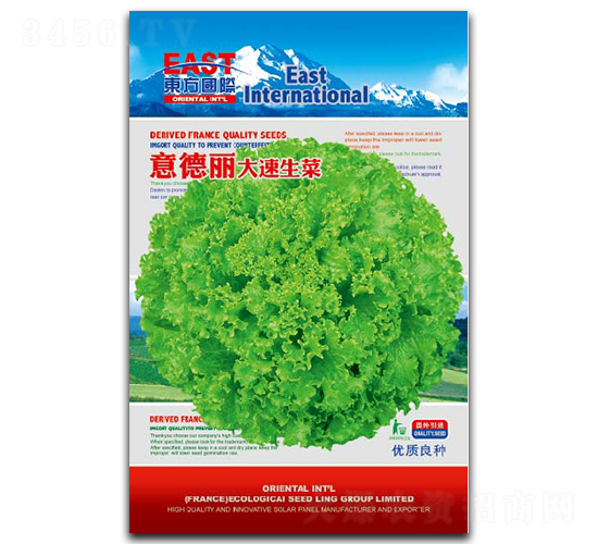 �������������-���˷N��-�����_(d��)