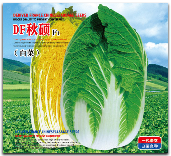 DF��T-�ײ˷N��-�����_