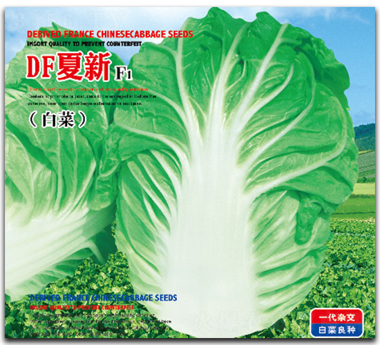 DF����-�ײ˷N��-�����_(d��)