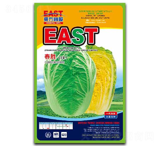 ����-�ײ˷N��-�����_(d��)