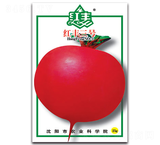 �t�S��̖-�}���N��-�S�r�r�I(y��)