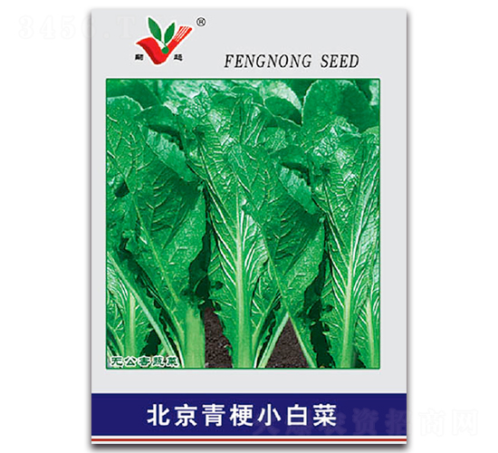 �����๣С�ײ�-�ײ˷N��-�S�r(n��ng)�r(n��ng)�I(y��)