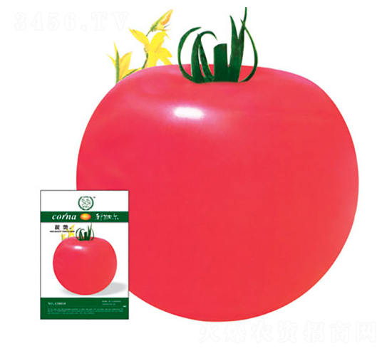 �n�G-���ѷN��-�S�r(n��ng)�r(n��ng)�I(y��)