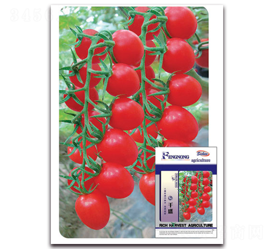 ǧʢ-���ѷN��-�S�r(n��ng)�r(n��ng)�I(y��)