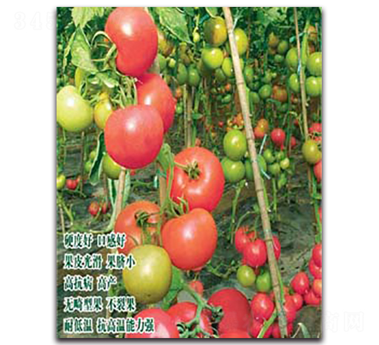 ˮ��-���ѷN��-�S�r(n��ng)�r(n��ng)�I(y��)