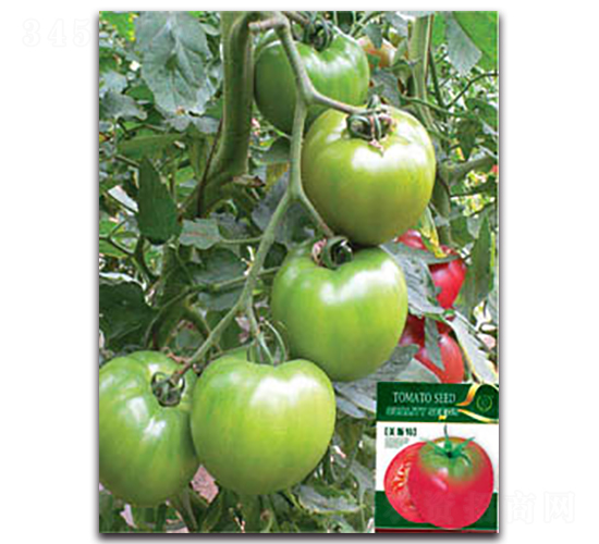 ��˹��-���ѷN��-�S�r(n��ng)�r(n��ng)�I(y��)