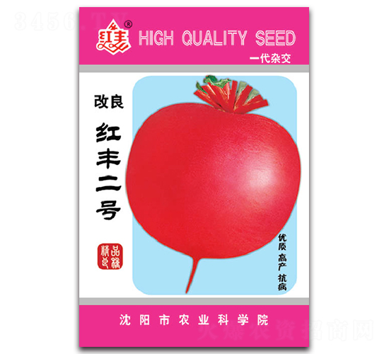 �����t�S��̖-�}���N��-�S�r�r�I(y��)