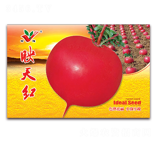 ӳ��t-�}���N��-�S�r(n��ng)�r(n��ng)�I(y��)