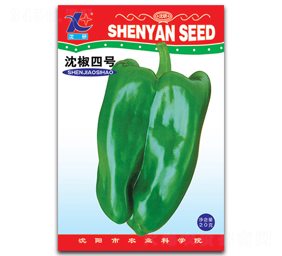 ����̖(h��o)-�����N��-�S�r(n��ng)�r(n��ng)�I(y��)