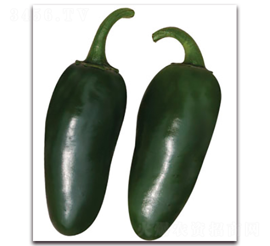 �S�r(n��ng)�۽�-�����N��-�S�r(n��ng)�r(n��ng)�I(y��)